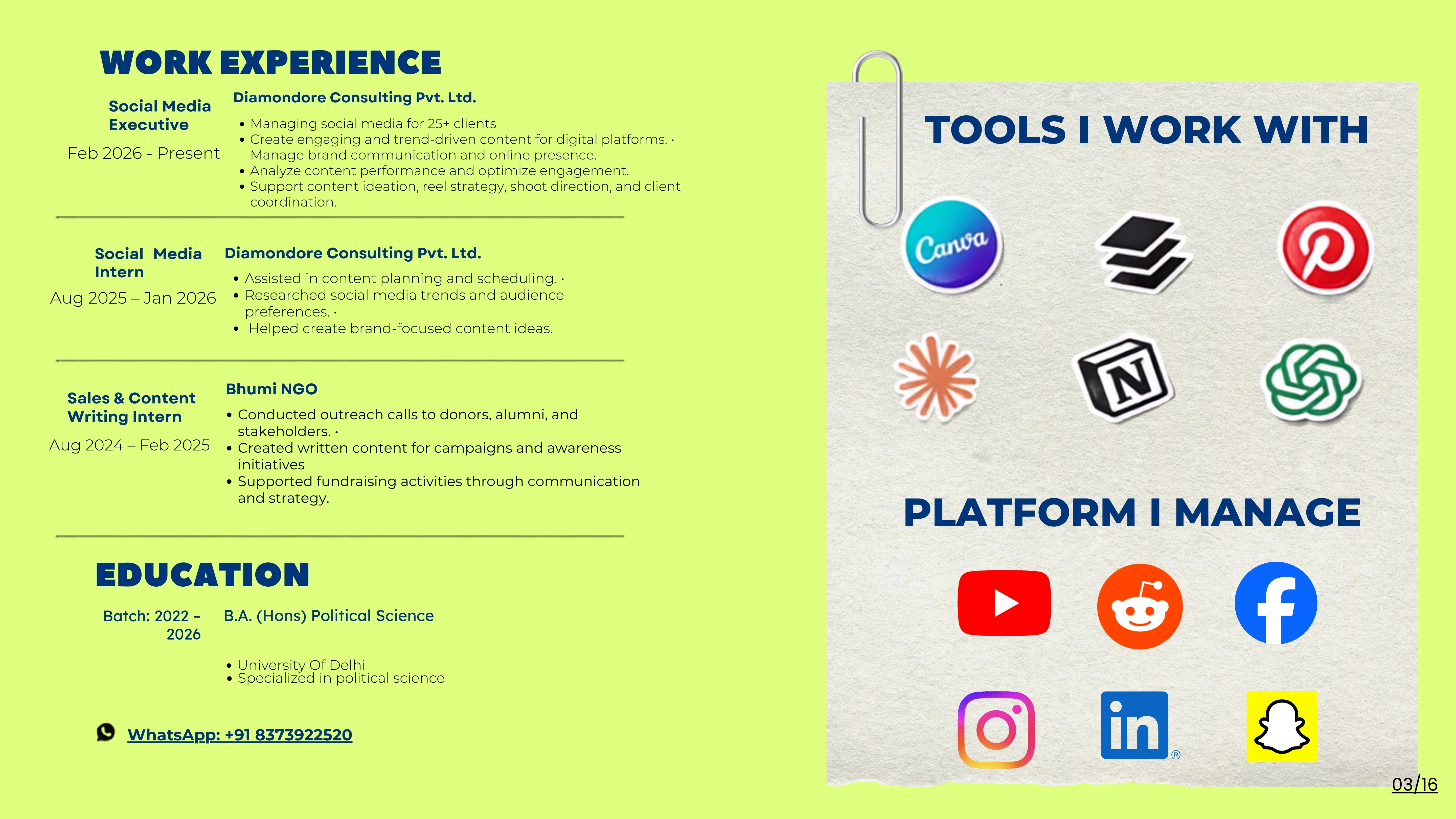 Portfolio Slide 3 (03/16)